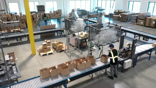 Consumer Goods - 3 - Capabilities